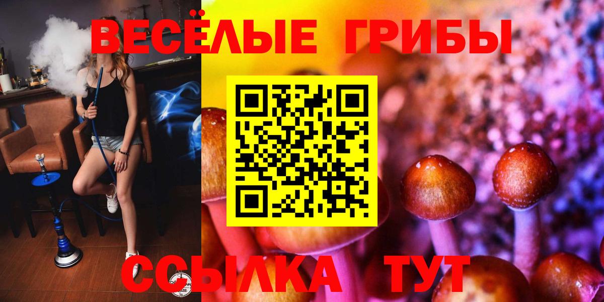 Галлюциногенные грибы GOLDEN TEACHER Троицк